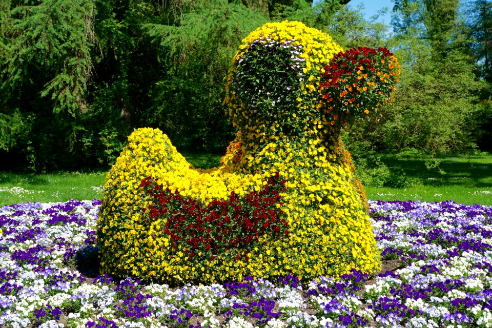 Form design horticulture