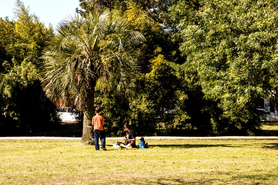 24.09.2019 - Passe livre no Museu da Baronesa em comemoração a 13ª Primavera de Museus - Foto Michel Corvello