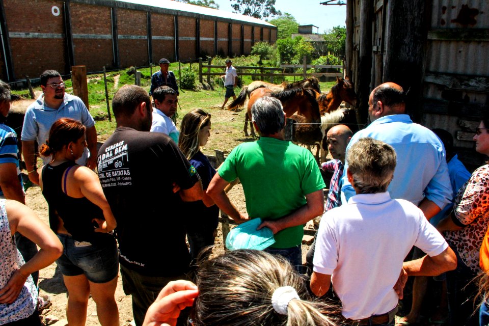 14.11.2017 - Vice-prefeito Idemar Barz no evento de doação de cavalos da Hospedaria Municipal
