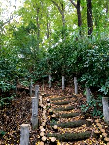 Akatsuka Park in Itabashi-ku