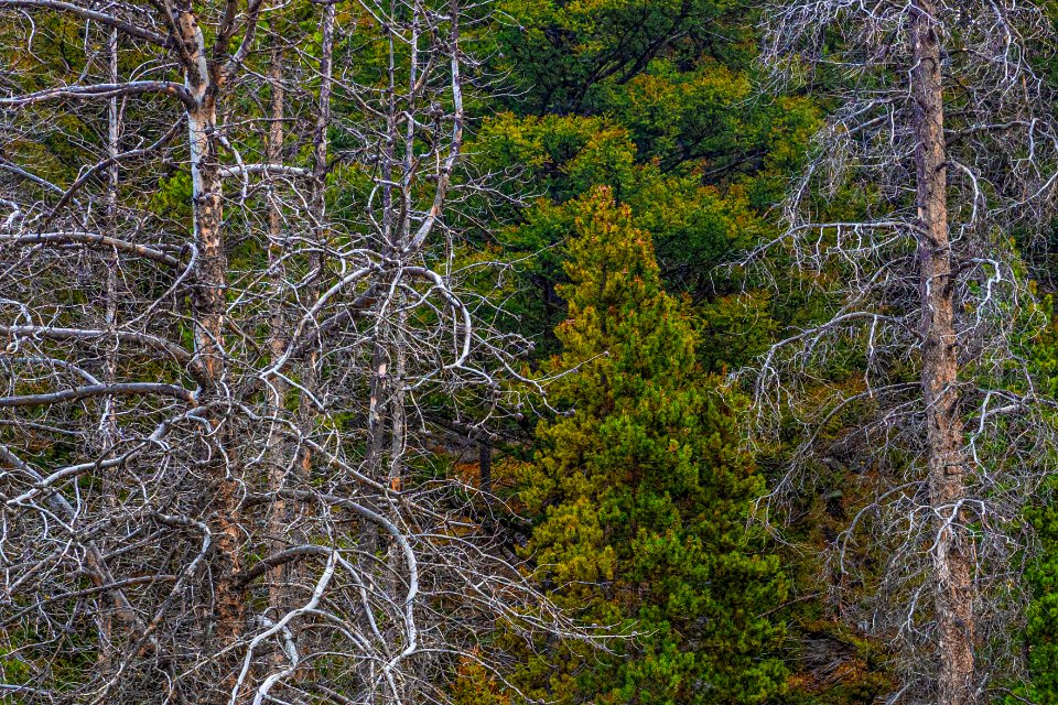 20190910-FS-PJK-00601 TONED