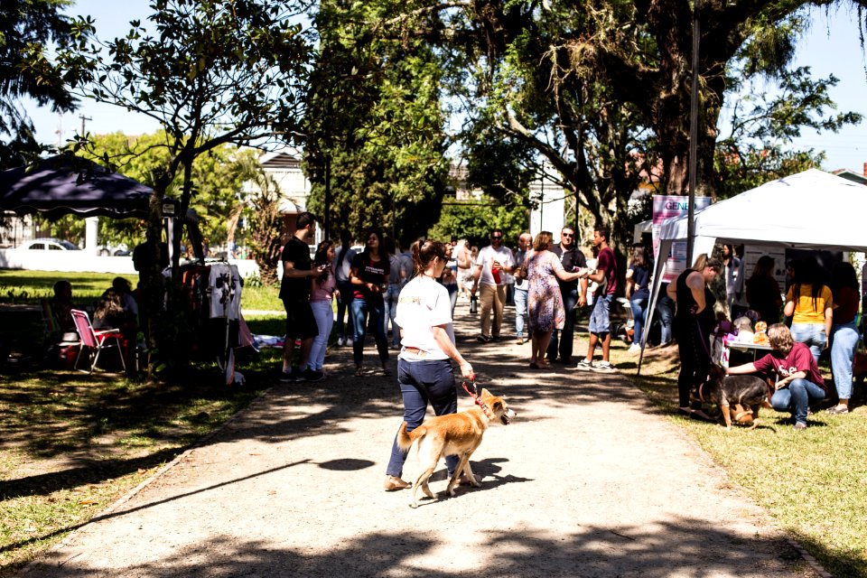 08.12.2019 - Encerramento da 2ª Semana de Proteção Animal - Foto: Gustavo Vara