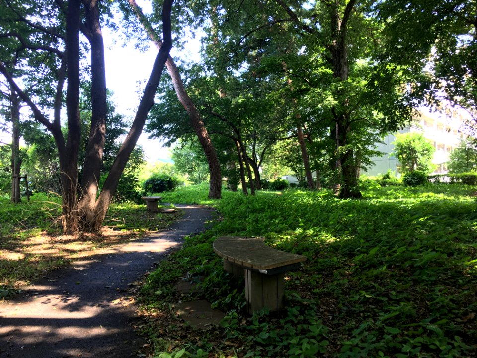 Uenohara in Higashikurume-shi