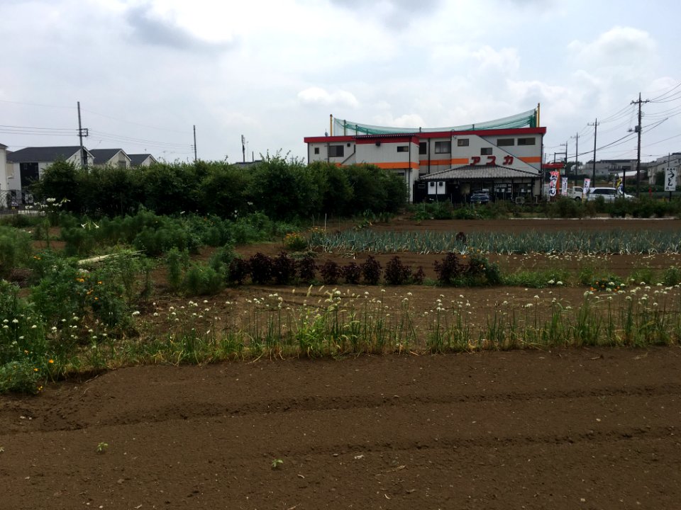 Nakakiyoto in Kiyose-shi