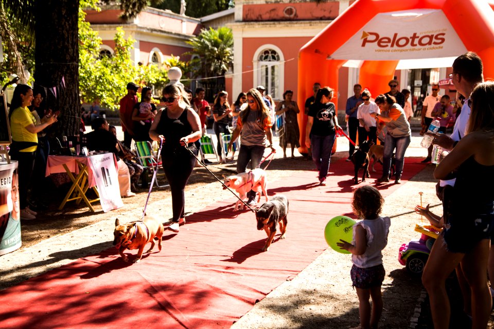 08.12.2019 - Encerramento da 2ª Semana de Proteção Animal - Foto: Gustavo Vara