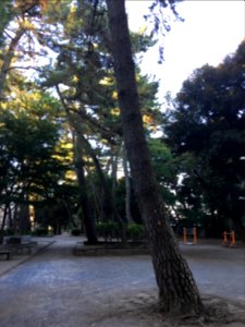 Wakabayashi in Setagaya-ku