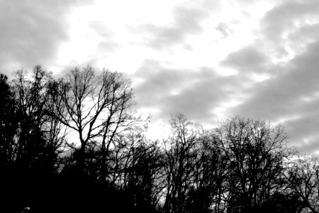 black and white