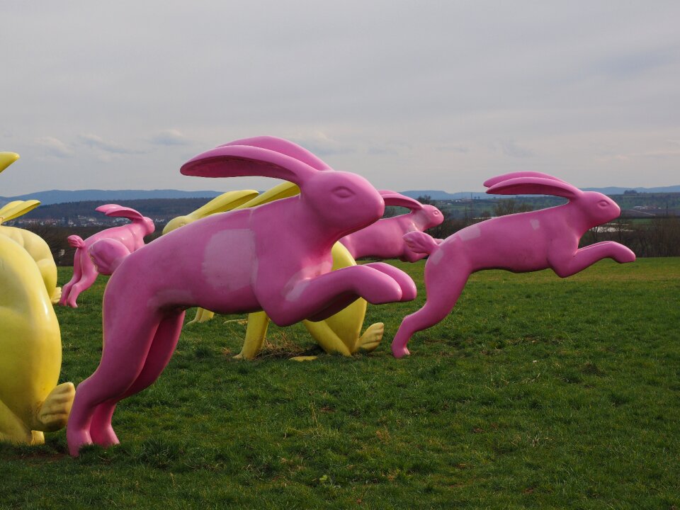 Pink seat and flitz rabbits rosalie