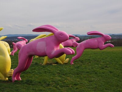 Pink seat and flitz rabbits rosalie