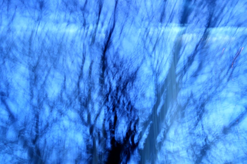 Ondulations boisées