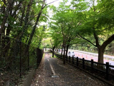 Tamako in Higashiyamato-shi photo