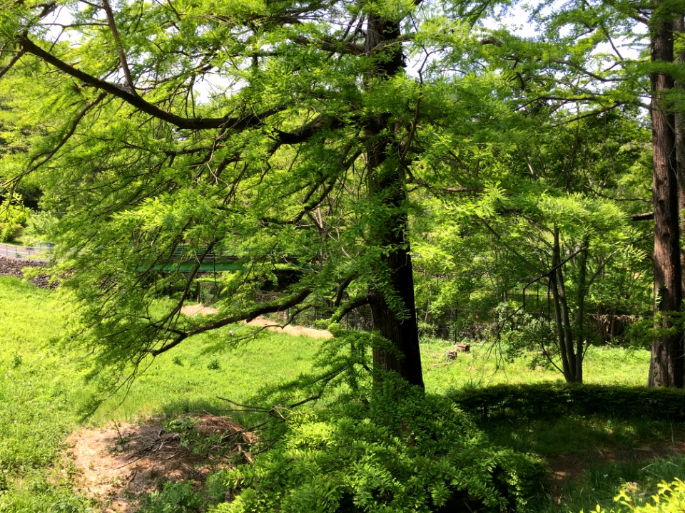 Sayama Park in Higashimurayama-shi