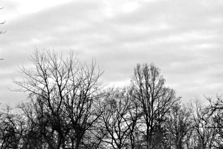 black and white