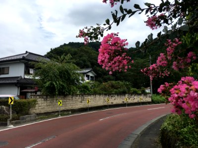 Tomioka in Ome-shi, Tokyo