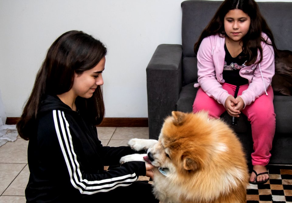 05.05.2021 - Entrevista com a tutora de cão adotado no Canil Municipal - Foto Michel Corvello