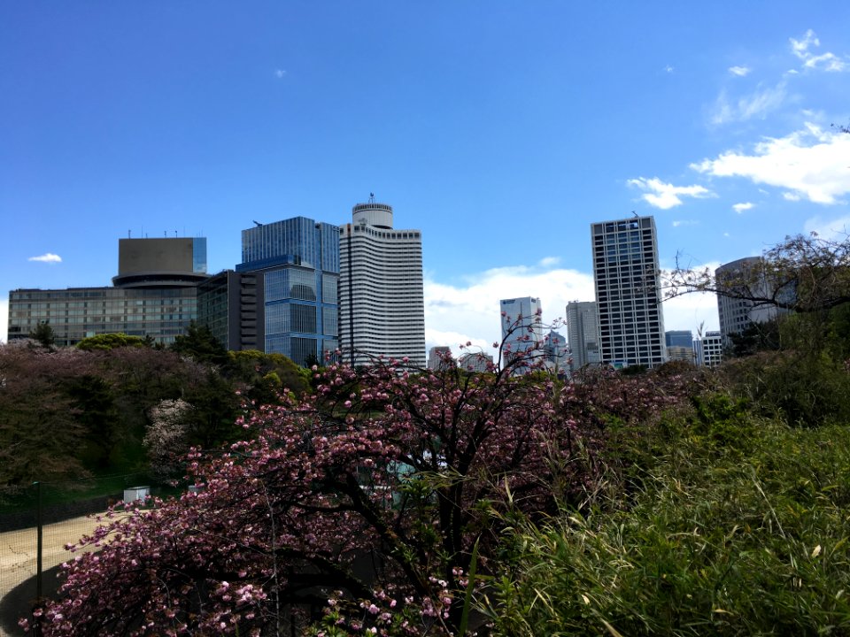 Motoakasaka in Minato-ku