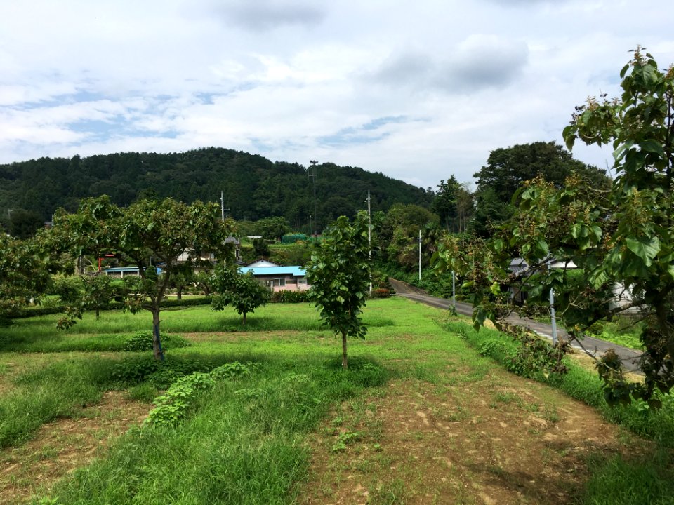 Tomioka in Ome-shi, Tokyo