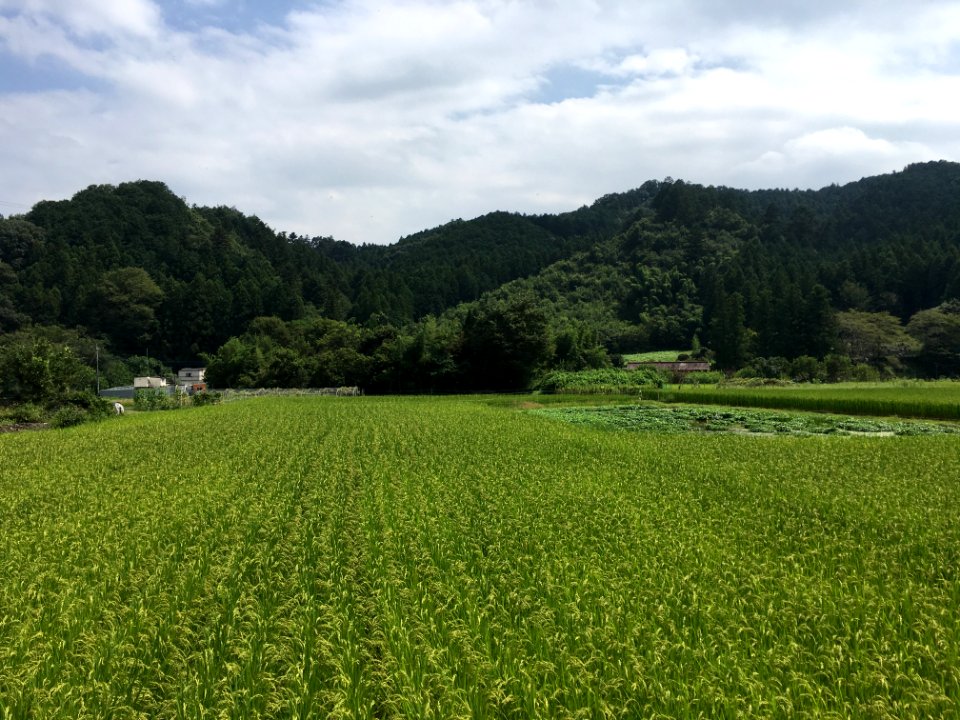 Nariki 3-chome in Ome-shi