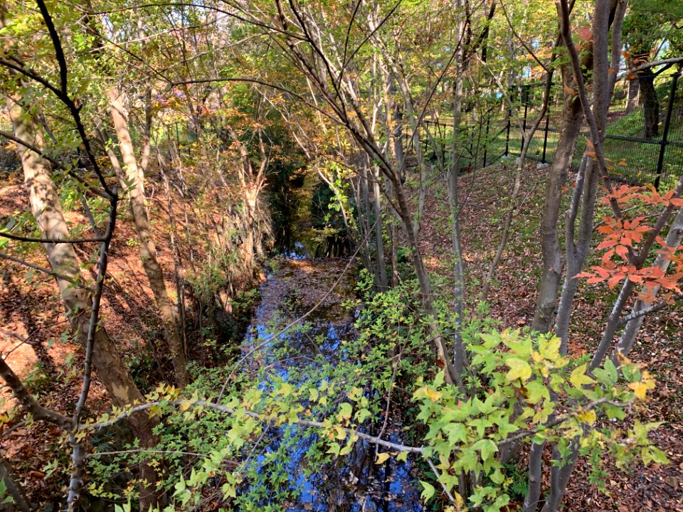 Sayama Park in Higashimurayama-shi