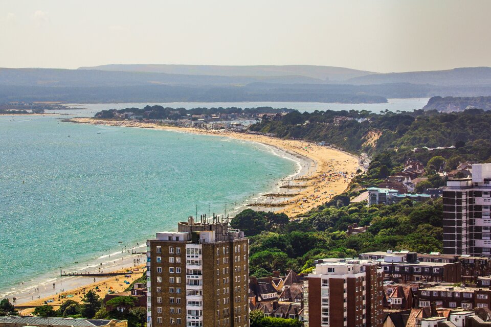 Bournemouth reptile sea