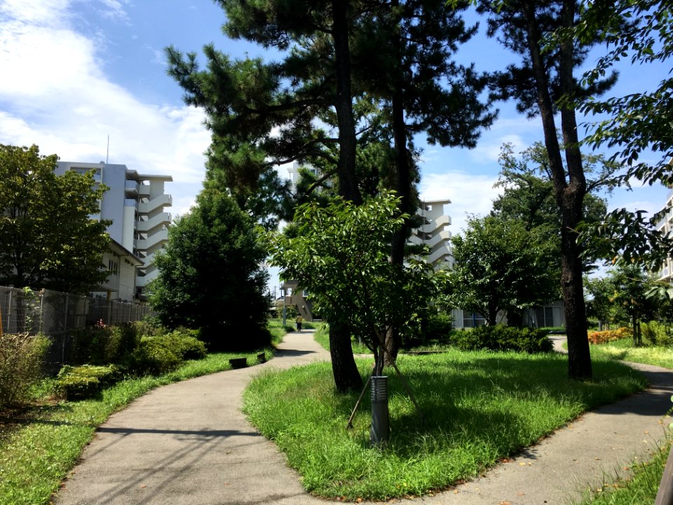 Uenohara in Higashikurume-shi