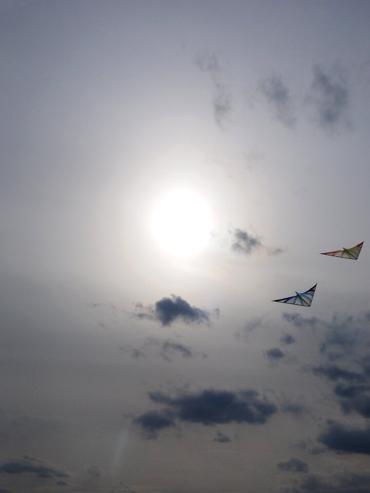 Allow kite flying sun sky