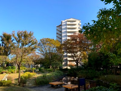 Hibarigaoka Danchi in Higashikurume