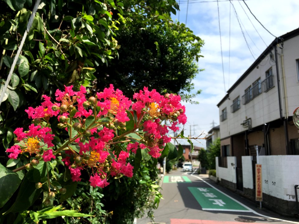 Sengencho in Higashikurume-shi