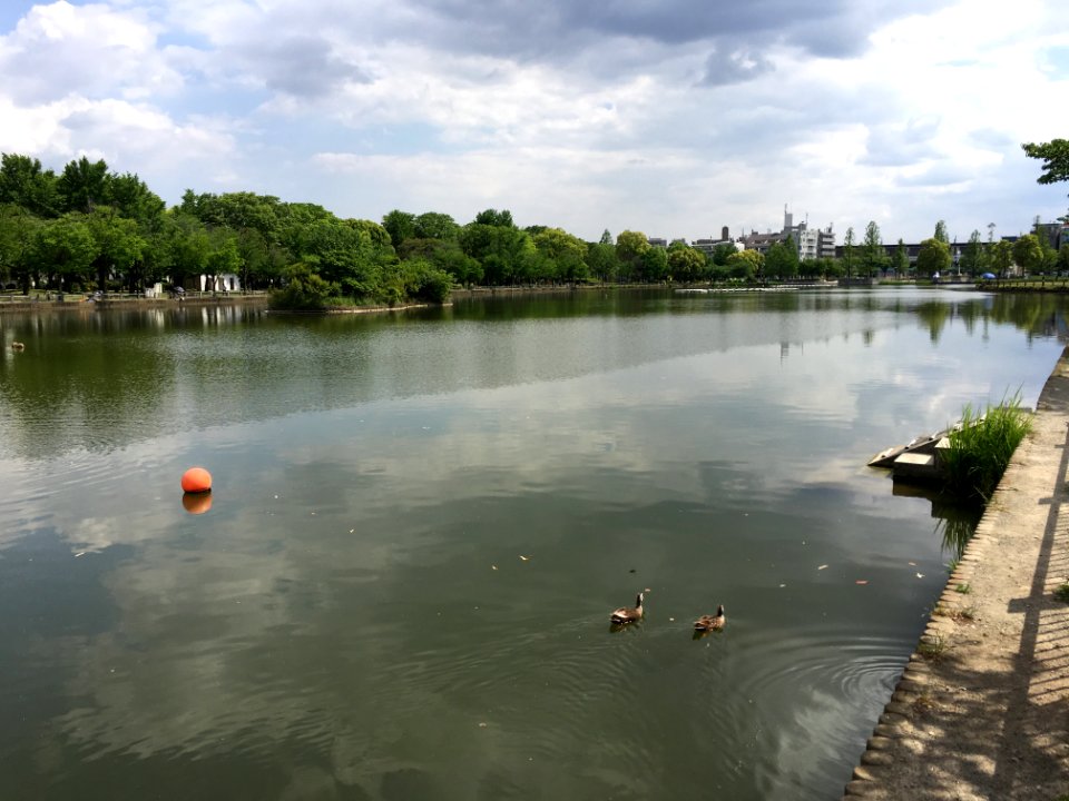 Ukima Park in Itabashi-ku