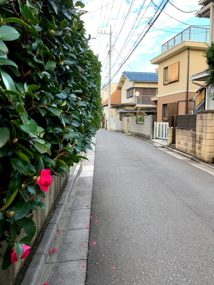 Akatsuka in Itabashi-ku