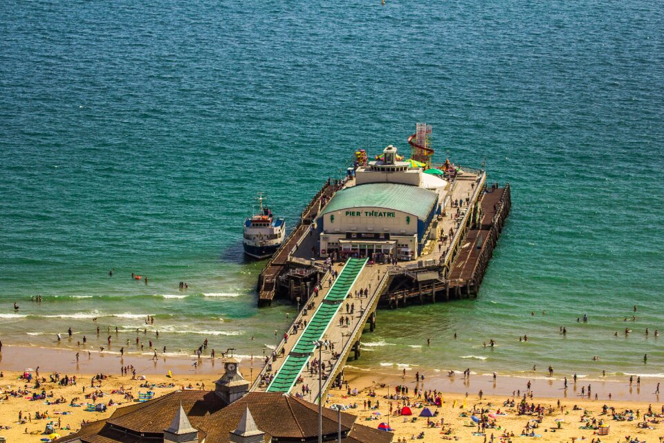 Bournemouth sea reptile