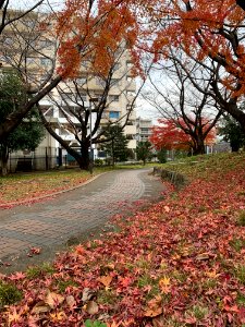 Akabanedai in Kita-ku
