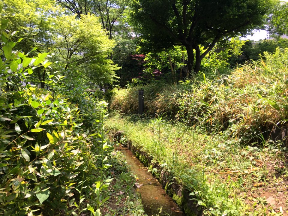 Hibarigaoka Danchi in Higashikurume