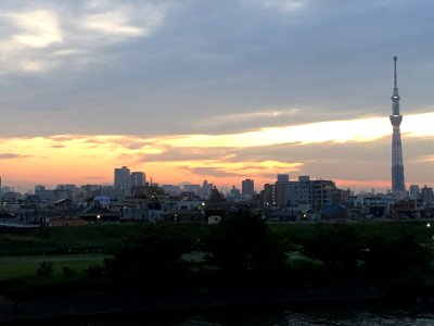 A view from Hirai Bridge in Edogawa-ku Tokyo 1