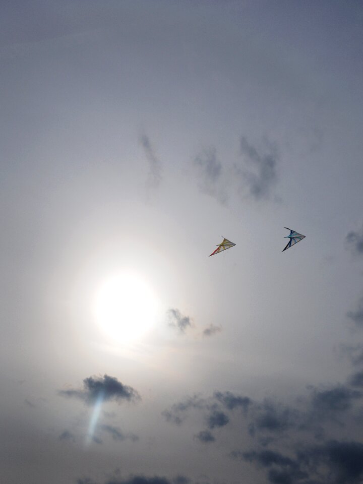 Allow kite flying sun sky