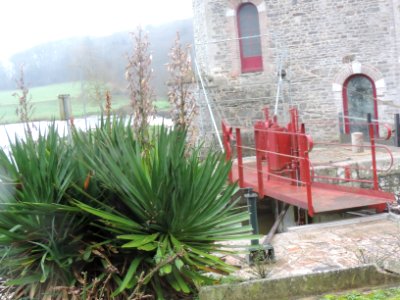 79DSCN6182 yucca devant le moulin photo