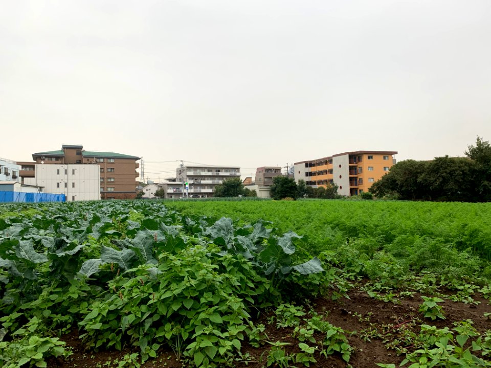 Minamioizumi in Nerima-ku