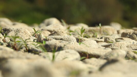 Koblenz urmitz riverbed photo