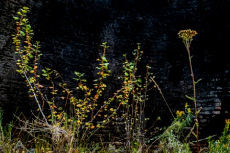 20190910-FS-PJK-00651 TONED