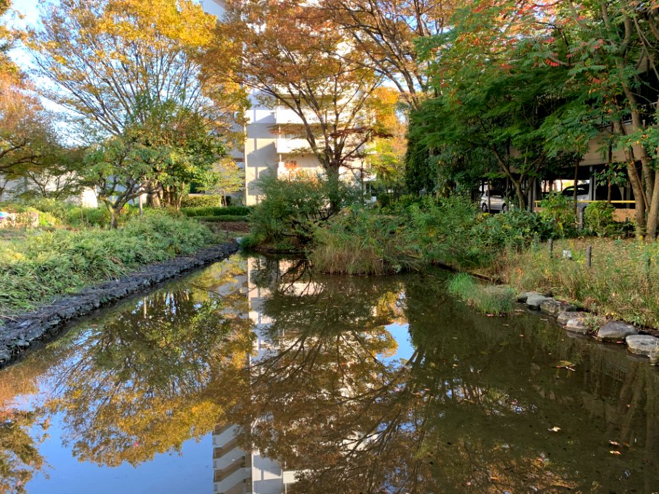 Hibarigaoka Danchi in Higashikurume