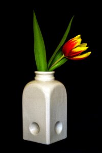 Tulips flower vase close up photo