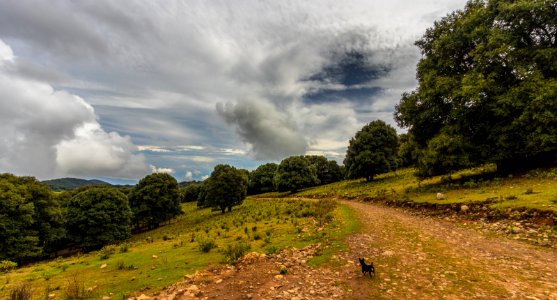 Cerro Viejo, Jalisco