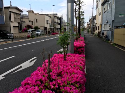 Minanishinozakimachi in Edogawa-ku, Tokyo