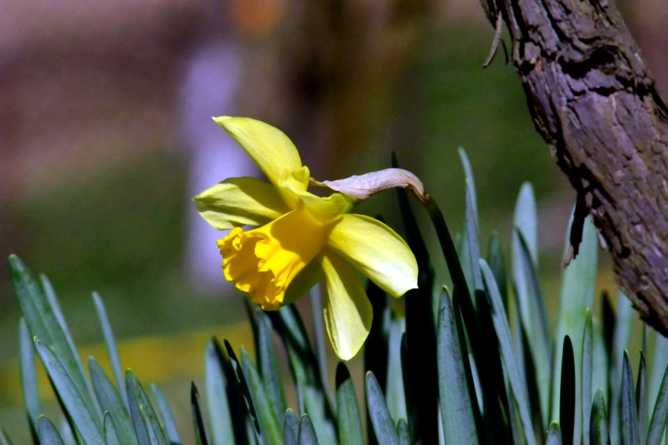 Spring 2014