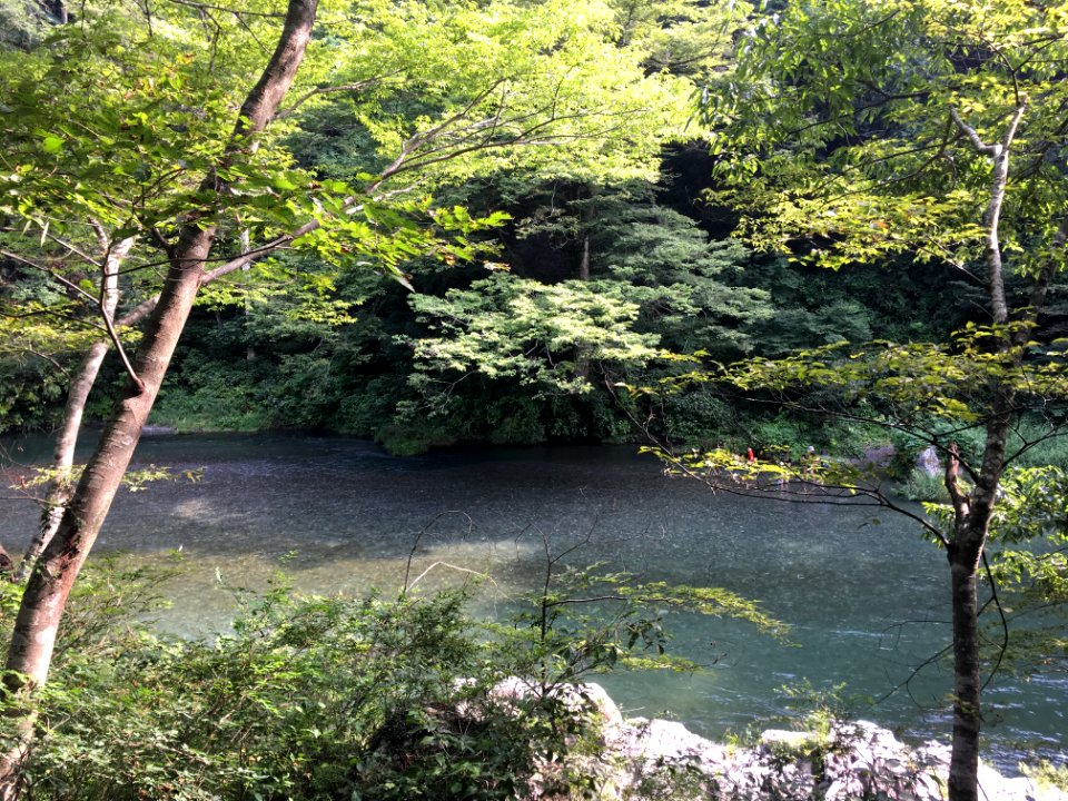 Tama River in Sawai, Ome-shi, Tokyo