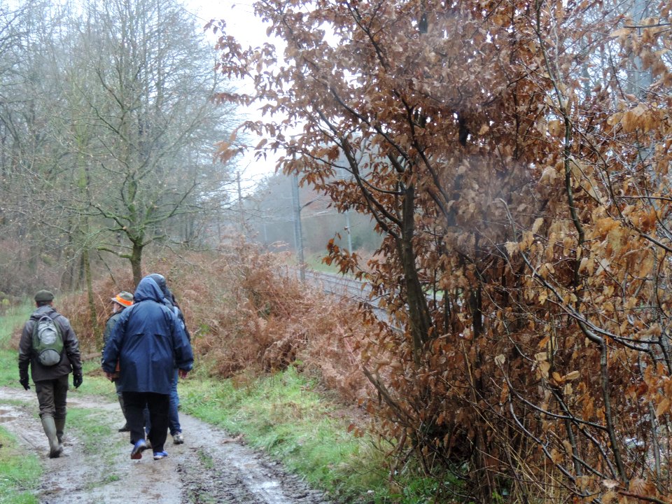 36DSCN6137 chemin