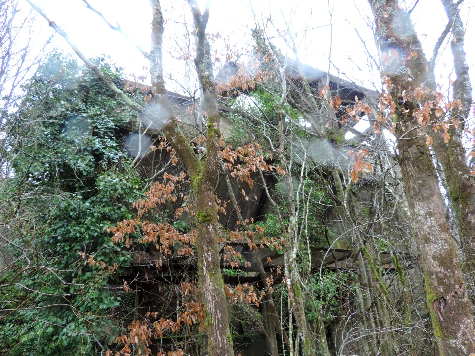 33DSCN6134 bâtiment