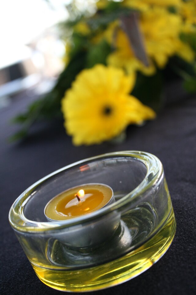 Flowers sailing yellow