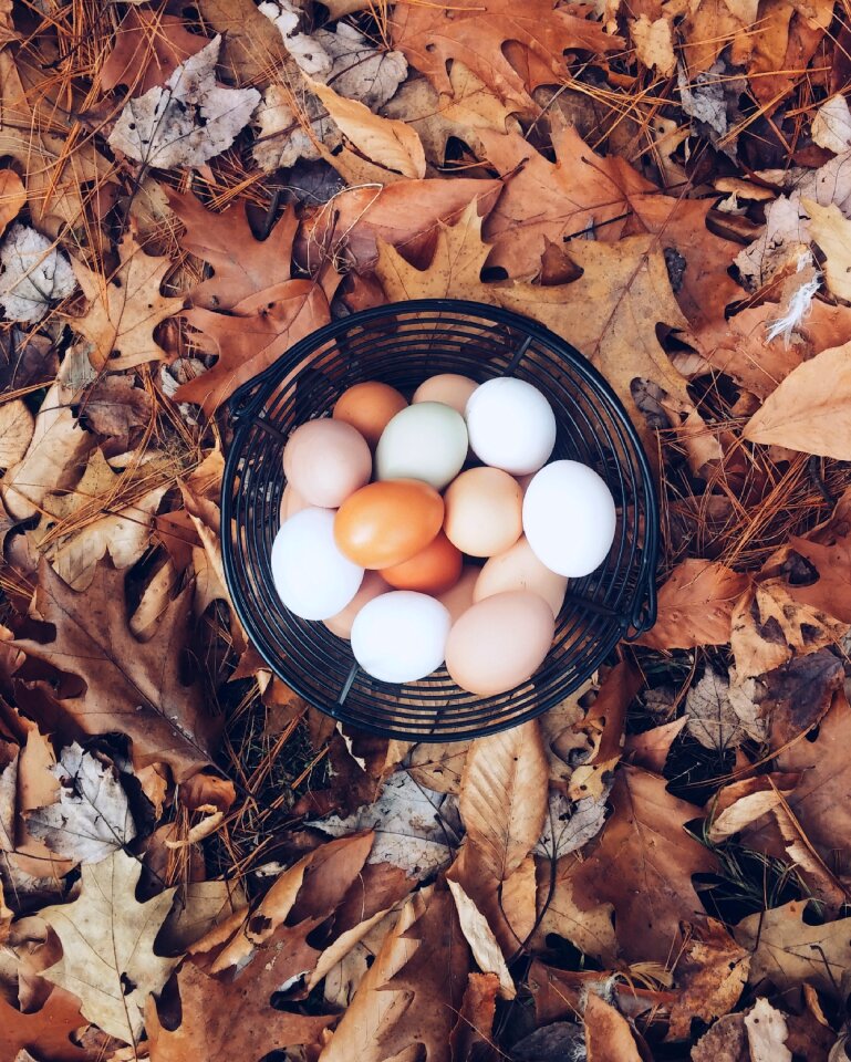 Colorful season organic