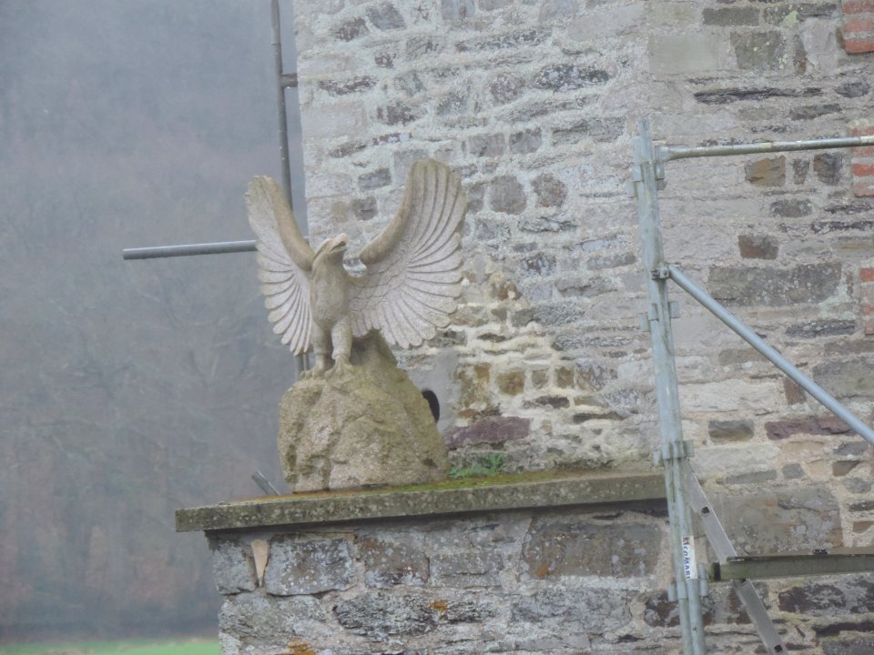 67DSCN6170 aigle sur le mur du Moulin photo